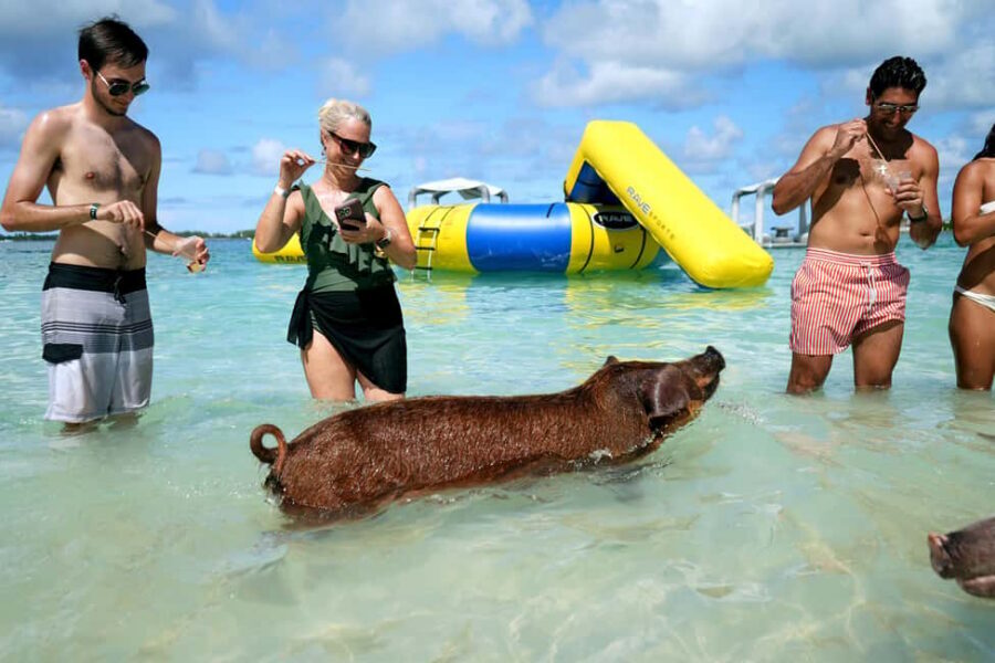 Nassau: Swimming Pigs, Snorkeling, Lunch, & Beach Boat Tour - Athol Island: feeding the swimming pigs where the water stays shallow