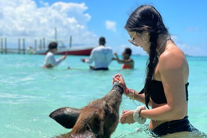 Nassau Swimming Pigs: Snorkeling, Lunch & Private Beach Club - Price and Value: Is $140 Worth It?