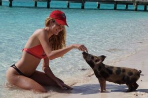 Original Exuma Powerboat Adventures - Lunch, Open Bar, and the Conch Salad Show