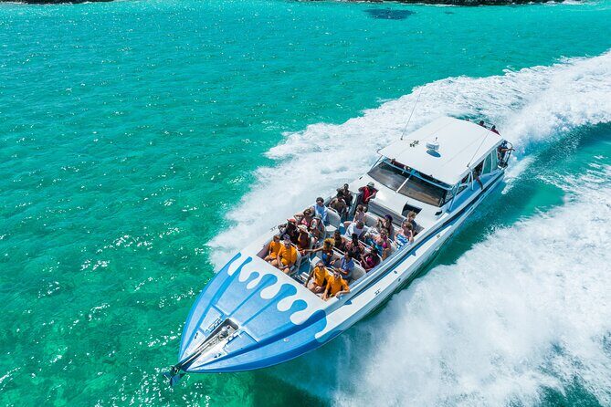 Original Exuma Powerboat Adventures - Shark and Stingray Feeding: Awesome Show, Safety Mindset