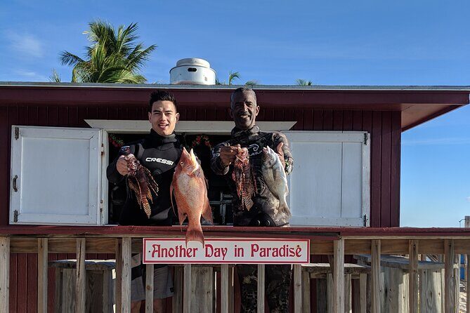 Paradise Cove Day Pass with Pickup from Freeport - Snorkeling at Deadman’s Reef: What You’re Likely to See