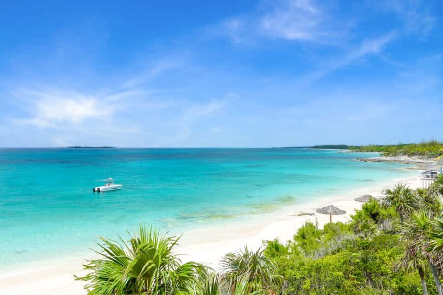 Paradise Island: Rose Island Tour with Swimming Pigs & Lunch - Should You Book Rose Island With Swimming Pigs and Lunch?