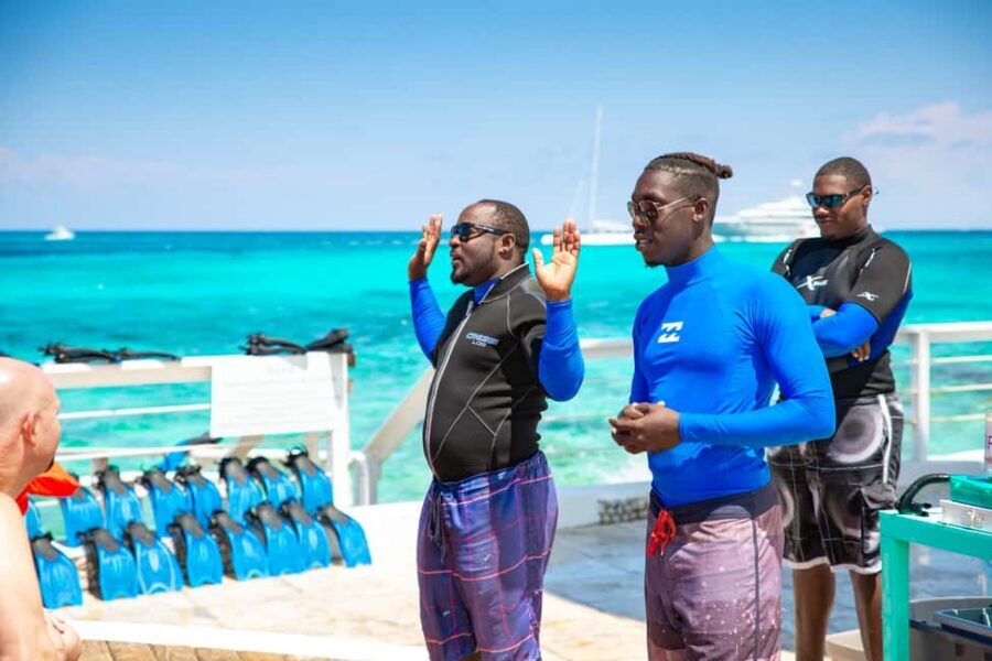Pearl Island Beach: Full-day Snorkelling with Lunch - Should you book Pearl Island Beach full-day snorkeling with lunch?