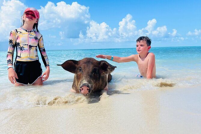 Perfect Day Swimming Pigs, Turtles, Reef Snorkel & Lunch - Key things to know before you go