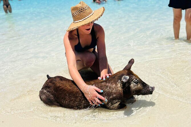 Perfect Day Swimming Pigs, Turtles, Reef Snorkel & Lunch - Rose Island beach club: lunch, drinks, and real time to relax