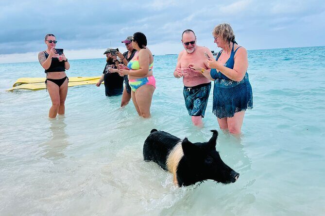 Perfect Day Swimming Pigs, Turtles, Reef Snorkel & Lunch - Boat ride comfort and crew vibe (smooth, upbeat, and helpful)