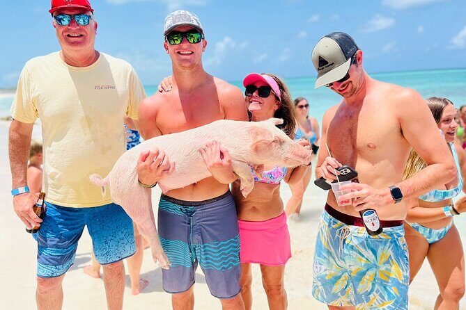 Perfect Day Swimming Pigs, Turtles, Reef Snorkel & Lunch - Price and value: is $189 worth it?