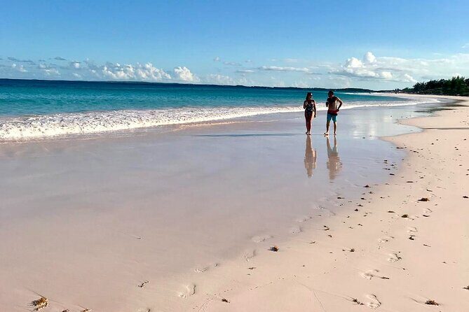 Pink Sand Beach and Swimming Pigs Adventure from Nassau - Why This Nassau Trip Feels Efficient (Not Rushed)