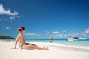 Pink Sand Beach and Swimming Pigs Adventure from Nassau - Price and Value: What $427.90 Covers in Real Terms