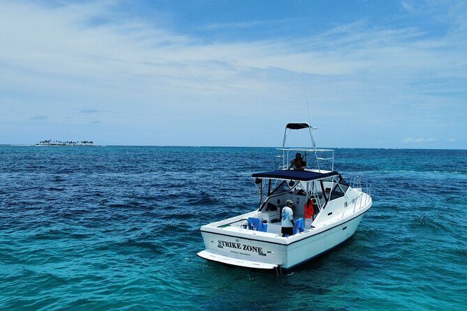 Private 38' Defender Sportfishing/Swim with Pigs in Nassau - Key highlights you’ll care about