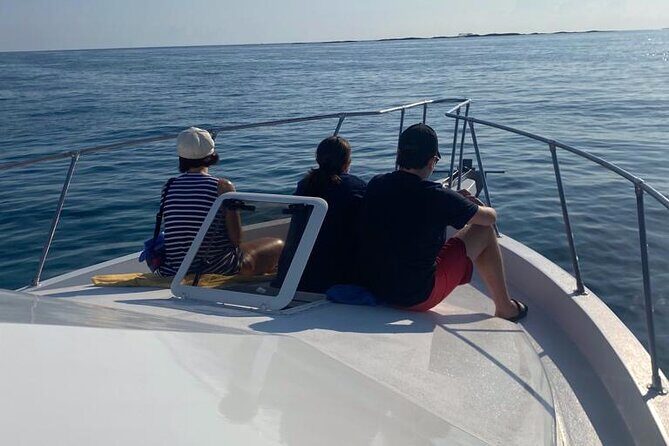 Private 38' Defender Sportfishing/Swim with Pigs in Nassau - Price and value: $850 for up to 7