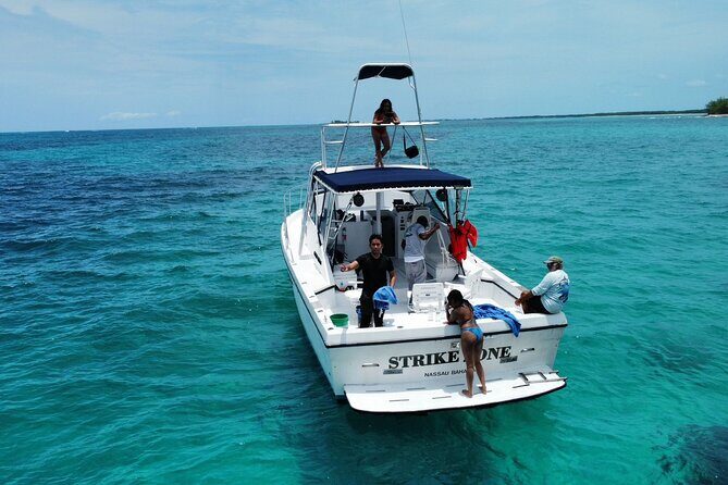 Private 38' Defender Sportfishing/Swim with Pigs in Nassau - The Rose Island reef stop: snorkeling with actual fish time