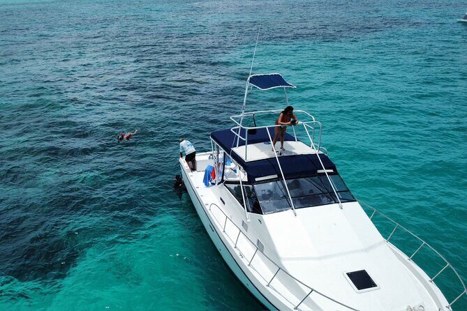 Private 38' Defender Sportfishing/Swim with Pigs in Nassau - The pig swim add-on: $30 and worth budgeting