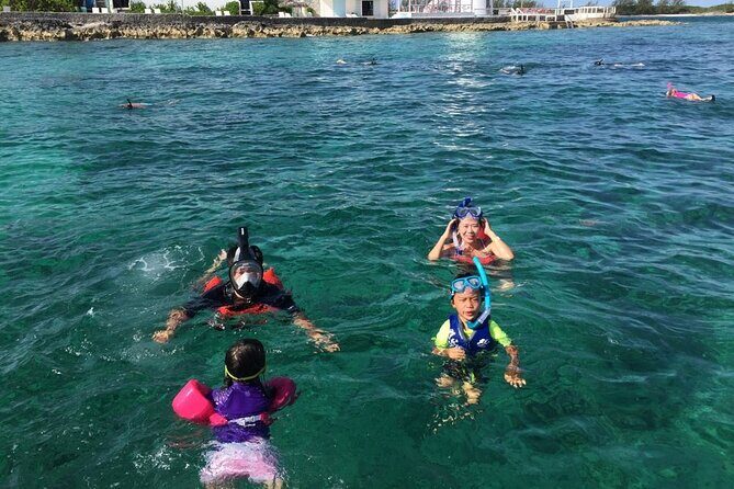 Private Rose Island, Swimming Pigs, Snorkeling and Turtles - Private Rose Island, swimming pigs, turtles, and snorkeling: how the day really feels