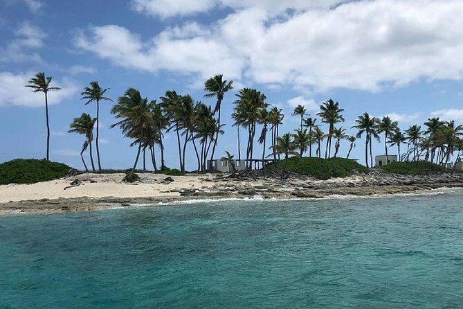 Private Rose Island, Swimming Pigs, Snorkeling and Turtles - A stop-by-stop look at the Nassau route: Rose Island, Green Cay, and pig country