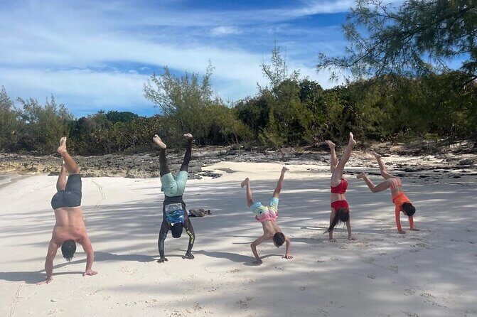 Private Rose Island, Swimming Pigs, Snorkeling and Turtles - Who this tour is best for (and who should skip swimming pigs)