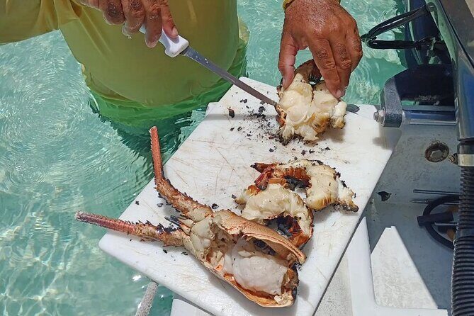 Private Snorkeling And Fishing Activity - Fishing choices that make sense: light tackle or spear fishing