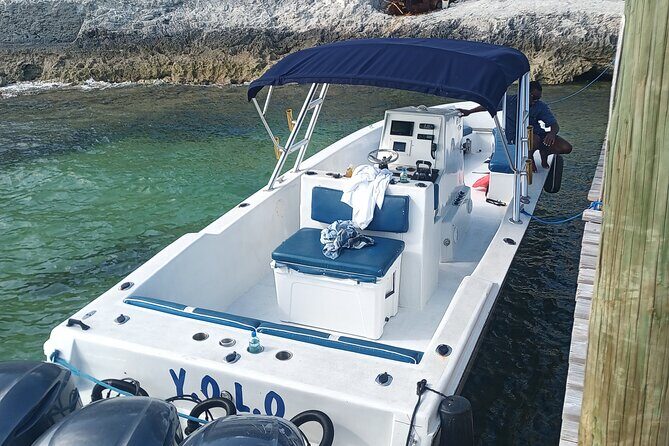 Private Snorkeling And Fishing Activity - Rose Island area snorkeling: coral, fish, and turtles you can actually see