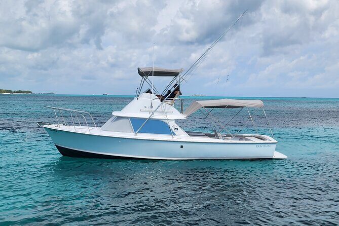 Private Snorkeling or Fishing from Nassau - 31ft Sitting Pretty - Key highlights worth planning for