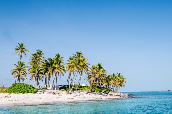 Private Snorkeling or Fishing from Nassau - 31ft Sitting Pretty - Offshore fishing vs reef snorkeling: the best way to decide what you want