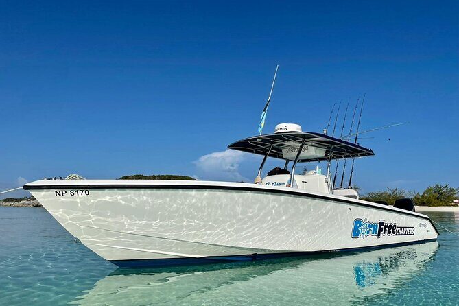 Private Speed Boat for Snorkeling or Fishing in Nassau - 34ft - Key things that make this Nassau boat charter work