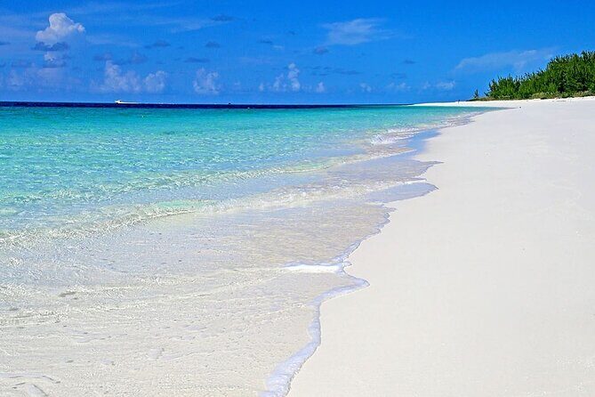 Rose Island Half-Day Snorkeling Cruise - Optional pig swim and the full-day upgrade choice