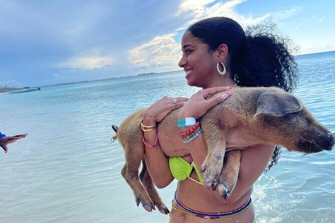 Rose Island Private Beach: Swimming with the Pigs - Key highlights you should care about