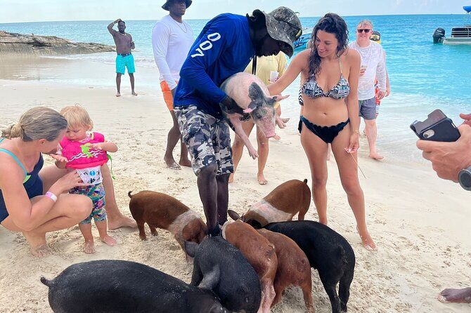 Rose Island Private Beach: Swimming with the Pigs - Price and what you really get for $139