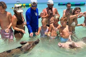 Rose Island Private Beach: Swimming with the Pigs - Starting at Margaritaville Marina: how the timing feels