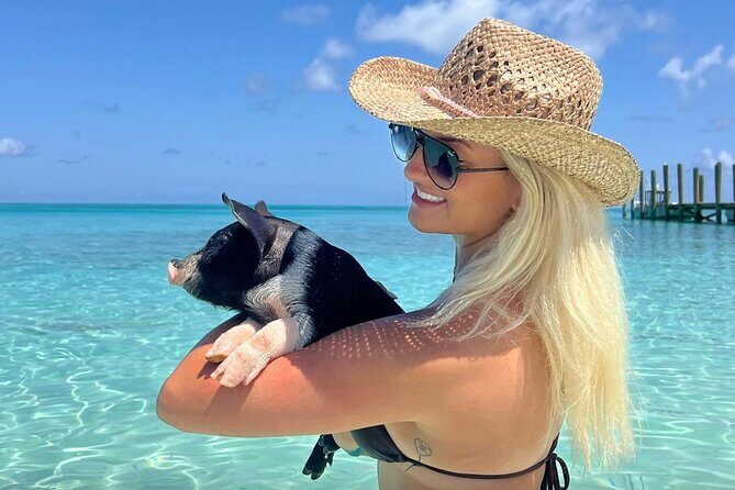 Rose Island Swimming Pigs & Beach Snorkeling Experience Nassau - Rose Island in a nutshell: ferry views, pig cuddles, and reef time