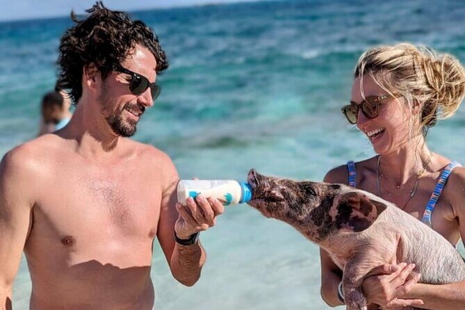 Rose Island Swimming Pigs & Beach Snorkeling Experience Nassau - Snorkeling off the Rose Island beach: short time, real sea life