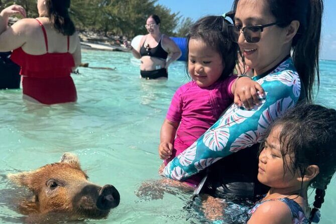 Rose Island Swimming Pigs & Beach Snorkeling Experience Nassau - Itinerary reality check: what each stop adds (and what it doesn’t)
