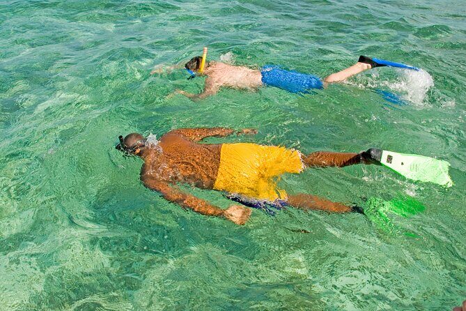 Rose Island Swimming Pigs & Beach Snorkeling Experience Nassau - Who this tour suits (and who should adjust expectations)