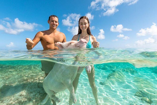 Sandy Toes The Original Rose Island and Swimming Pigs Tour - Lunch with Lemonade and Open Bar: What You Actually Get