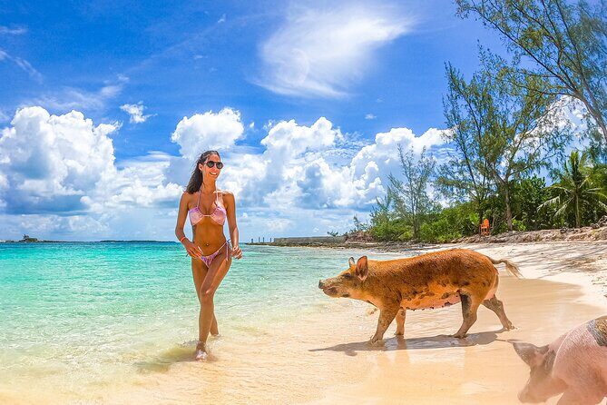 Swimming Pigs and Pearl Island Beach Escape - Lighthouse Access: A View Break That’s Worth the Walk