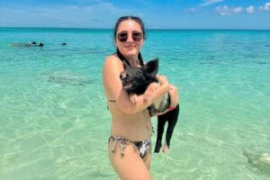 Swimming Pigs and Private Beach Club Escape - Check-in at Da Pig Beach Club: quick, clear, then you’re moving