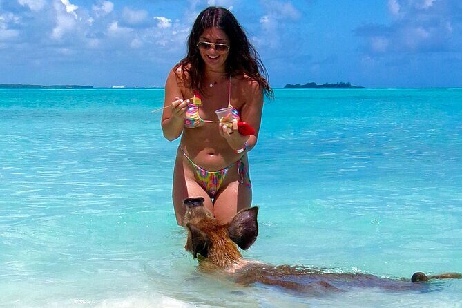 Swimming Pigs and Private Beach Club Escape - Lunch on Rose Island: Bahamian comfort food and a predictable plan