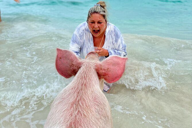 Swimming Pigs and Private Beach Club Escape - Weather and timing: the day can swing with sea conditions