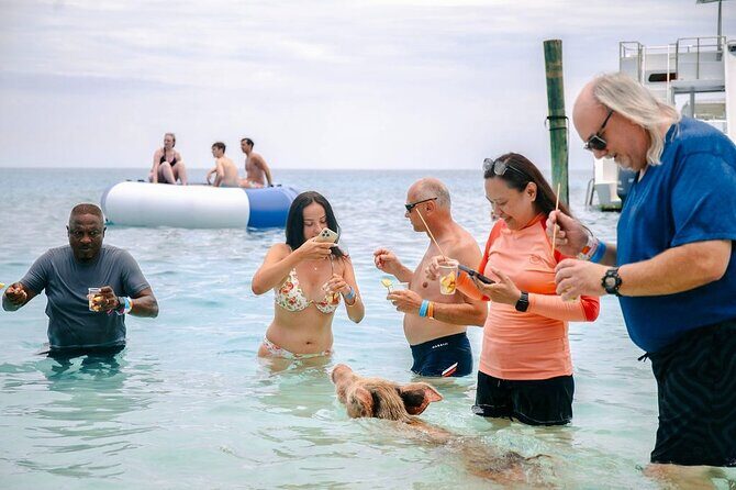 Swimming Pigs Of Rose Island & Beach Day - Group Tour - Snorkeling and Other Water Activities: Expect Some Options, Not a Guarantee