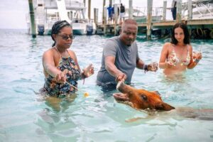 Swimming Pigs Of Rose Island Water Taxi Nassau Bahamas - The Water Taxi Ride: Pearl Island to Atlantis Views