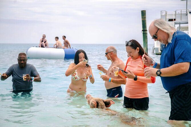 Swimming Pigs Of Rose Island Water Taxi Nassau Bahamas - On Rose Island: The Pig Encounter Schedule and What It Feels Like