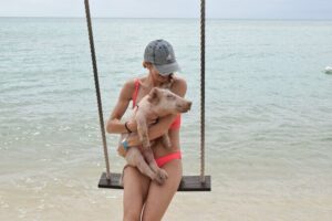 Swimming with Pigs in Nassau, Transportation Included - Rose Island Beach Time: Chairs, Float Options, and a Real Break