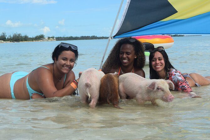 Swimming with Pigs in Nassau, Transportation Included - Timing and Group Size: Max 30, But Watch the Pace