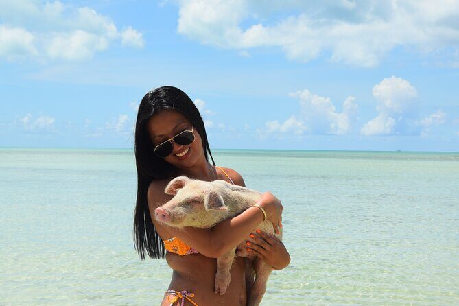 Swimming with Pigs in Nassau, Transportation Included - Who Should Book This Nassau Pig Swim?
