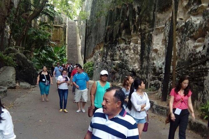 Tasty Rythm and Rock Tour - Tasty Teas Bahamas: Herbal Knowledge and Easy Souvenir Shopping