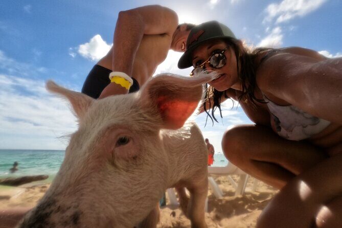 Ultimate SeaXscape Pigs/Turtles/Snorkel/Lunch/Drinks/PU/DO - The Day Starts in Nassau: Pickup, Boat Comfort, and Group Size