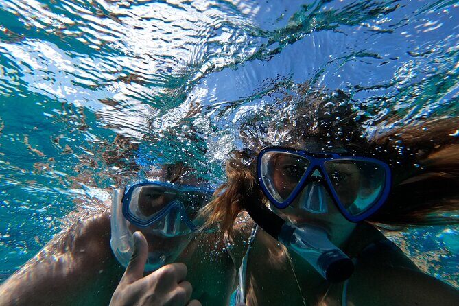 Ultimate SeaXscape Pigs/Turtles/Snorkel/Lunch/Drinks/PU/DO - Swimming Pigs in Nassau: The Main Character Moment