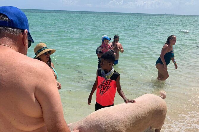 Ultimate SeaXscape Pigs/Turtles/Snorkel/Lunch/Drinks/PU/DO - Safety, Weather, and the One Tradeoff You Should Plan For